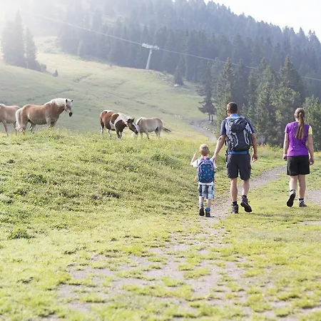 Apartmán Appartmenthaus Martina Zell am Ziller